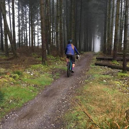 Caversham Woods Lidgetton Luaran gambar